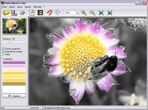 PhotoFiltre Studio 11.5.0 instal the new for android
